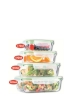 Poza cu Alpina Food Container, set caserole, 4 piese
