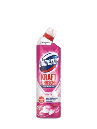 Poza cu Domestos Floral Fresh, gel pentru toaleta, 750 ml