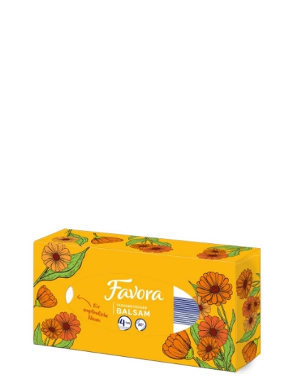 Poza cu Favora, batiste nazale, 4 straturi, 80 buc